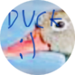 quack.png